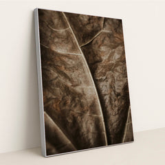 Earthen Veins by Valeriia Miller - Silver Frame Stretchiez
