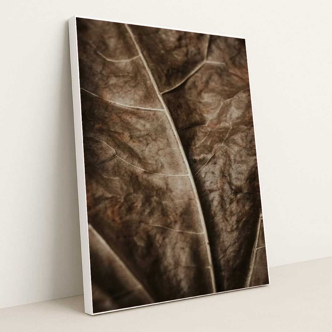 Earthen Veins by Valeriia Miller - White Frame Stretchiez