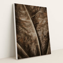 Earthen Veins by Valeriia Miller - White Frame Stretchiez