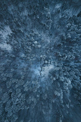 Echoes of Cold by Patrick Langwallner