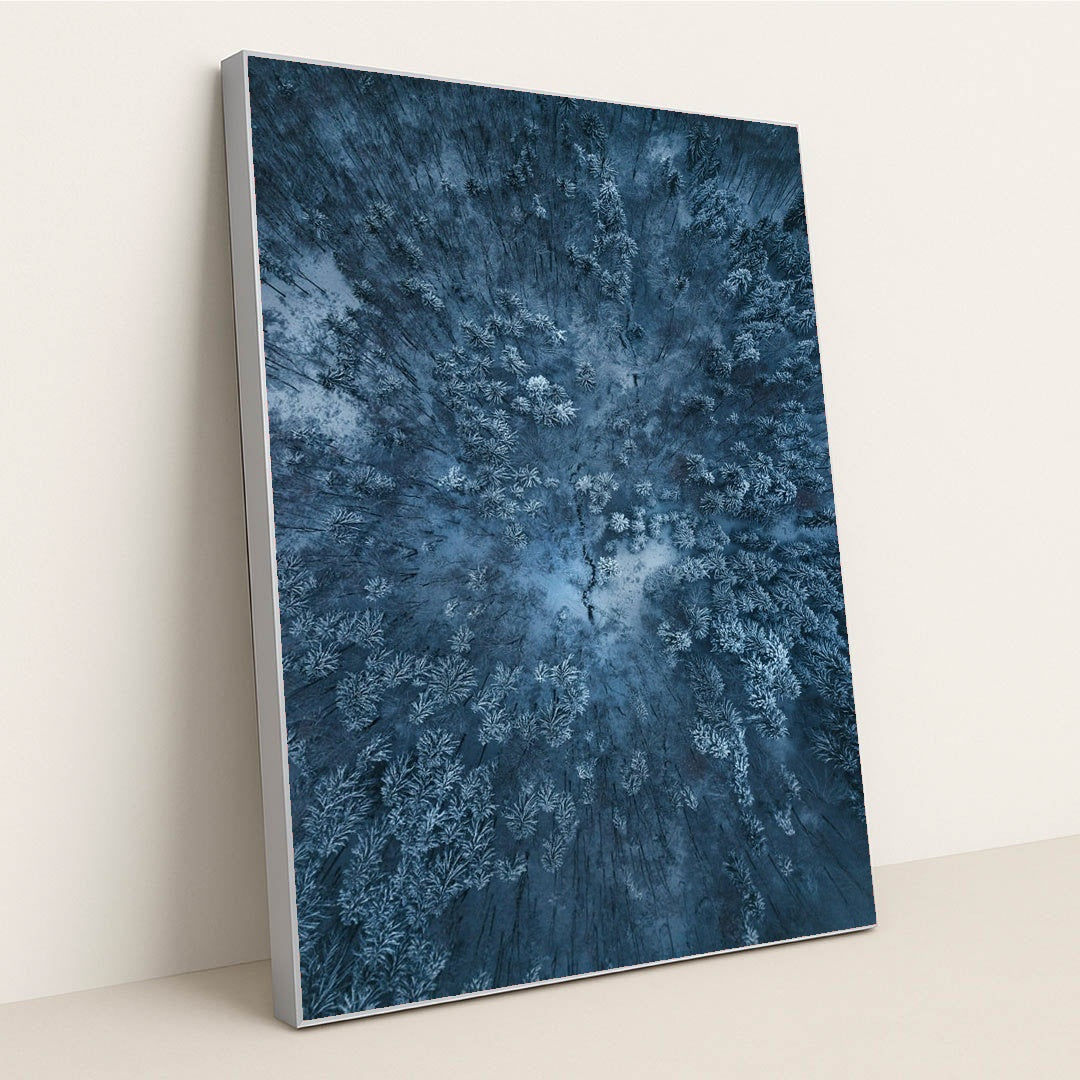 Echoes of Cold by Patrick Langwallner - Silver Frame Stretchiez