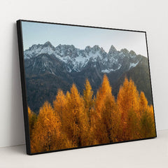 Edge of Seasons by Ales Krivec - Black Frame Stretchiez