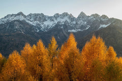 Edge of Seasons by Ales Krivec