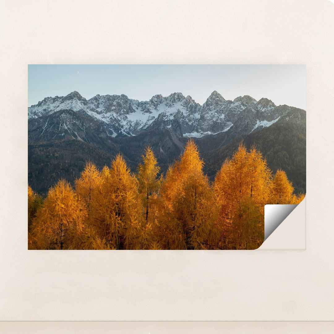 Edge of Seasons by Ales Krivec - Peeliez