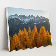 Edge of Seasons by Ales Krivec - White Frame Stretchiez