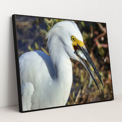 7090327519267 - Product Image