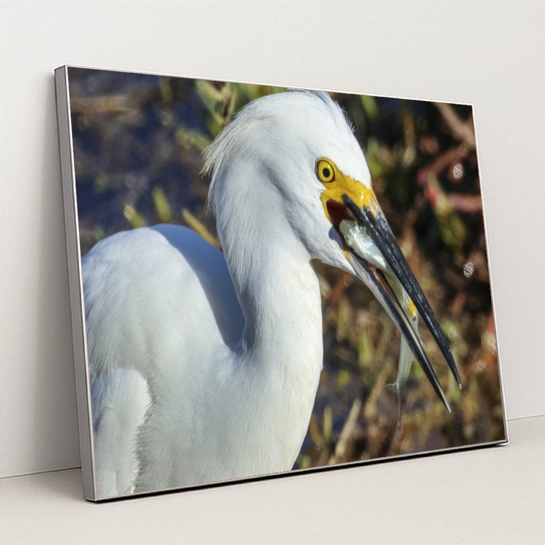 7090327519267 - Product Image