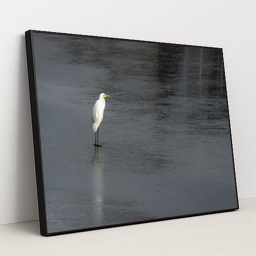 7090330173475 - Product Image