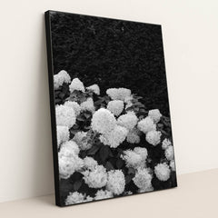 Quiet Hydrangeas by Annie Spratt - Black Frame Stretchiez