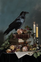 Elegy of Ash and Ink by Seven Akins