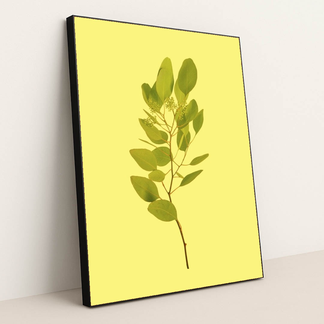 7090330075171 - Product Image