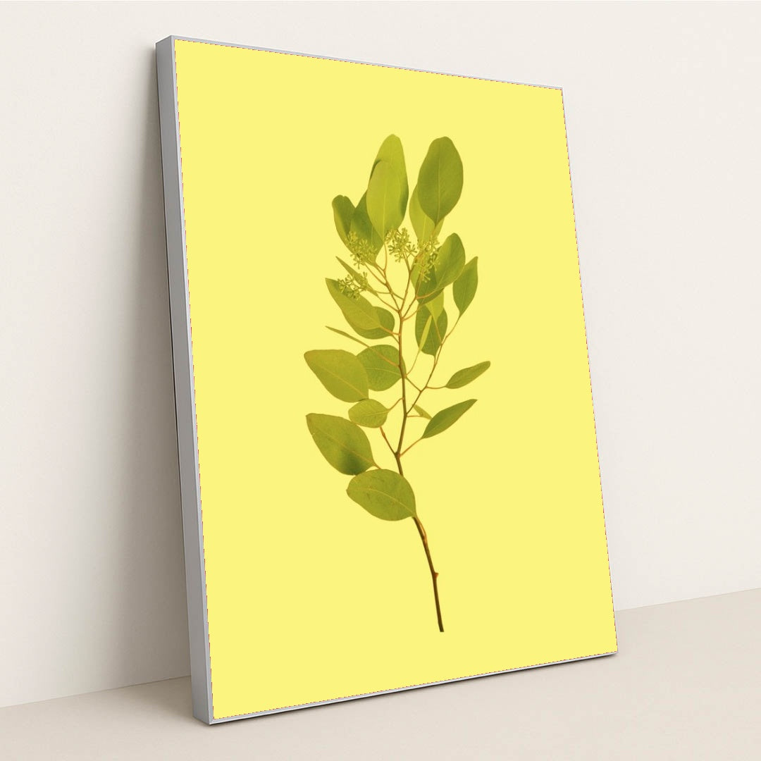 7090330075171 - Product Image