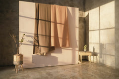 Nugroho  Wahyu - A minimalist interior with sunlight, draped fabrics, and potted plants in a modern room.