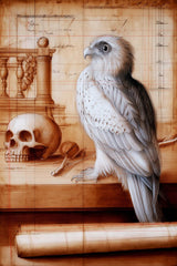 Falcon Ledger by Seven Akins