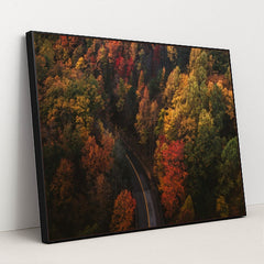 6338 - Product Image