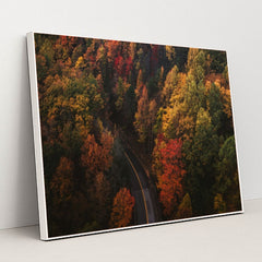 6338 - Product Image