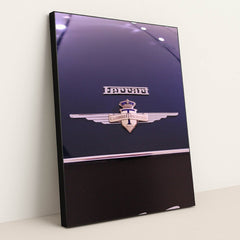 Ferrari's Carrozz Touring Badge by Gab - Black Frame Stretchiez