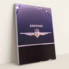 Ferrari's Carrozz Touring Badge by Gab - Silver Frame Stretchiez