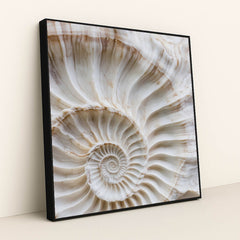 Fibonacci Curve by Mistline - Black Frame Stretchiez