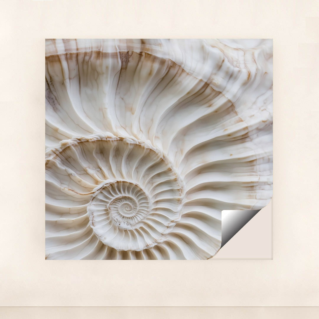 Fibonacci Curve by Mistline - Peeliez