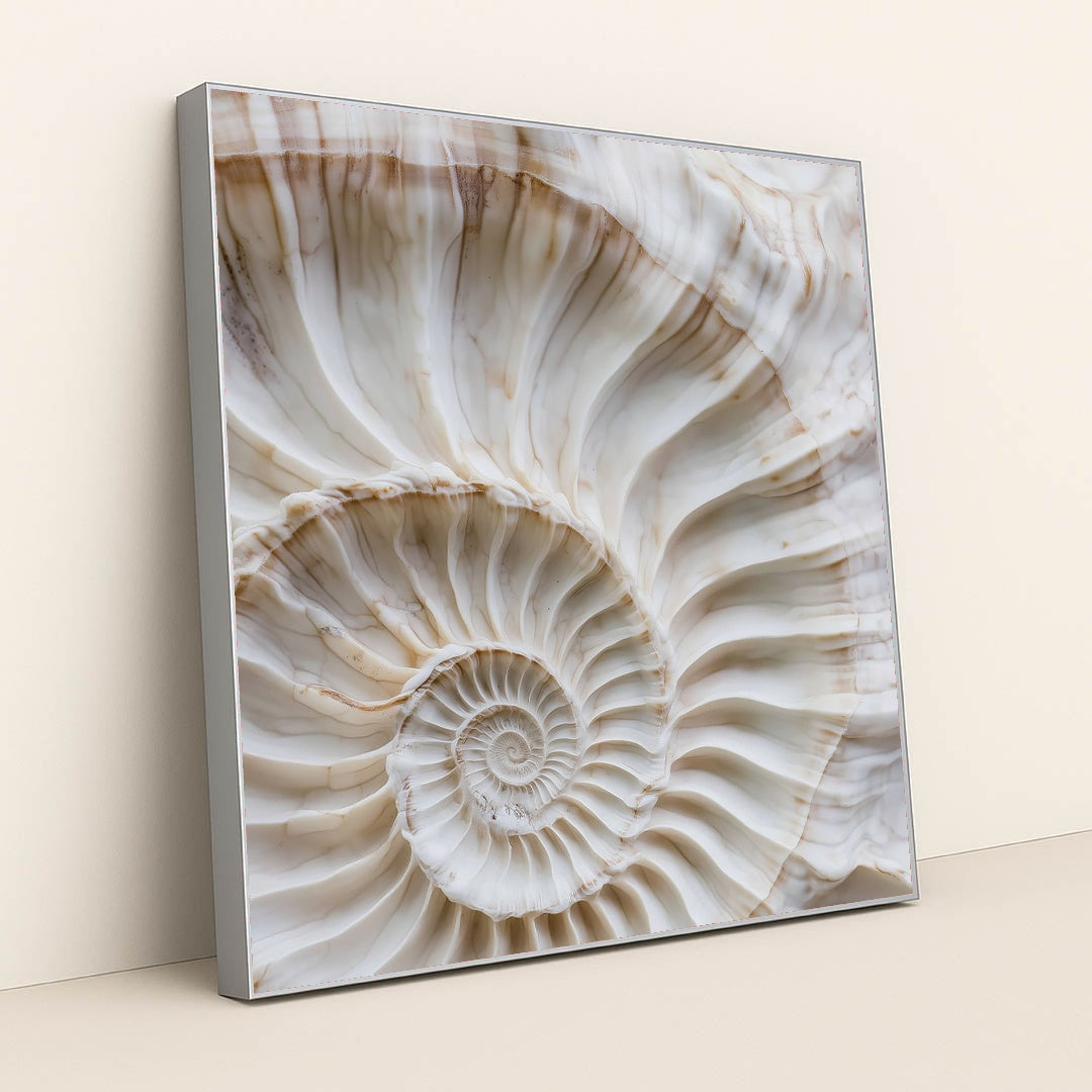 Fibonacci Curve by Mistline - Silver Frame Stretchiez