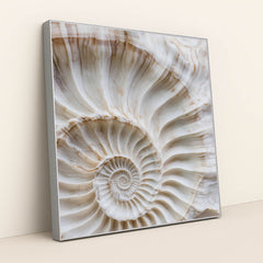 Fibonacci Curve by Mistline - Silver Frame Stretchiez
