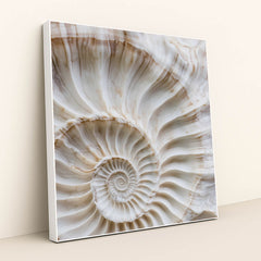 Fibonacci Curve by Mistline - White Frame Stretchiez