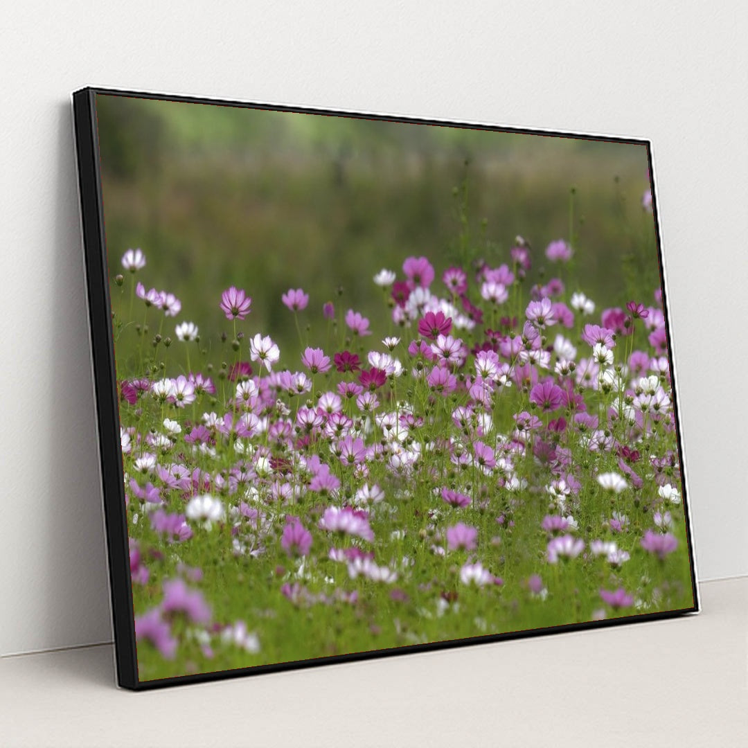 7090289147939 - Product Image