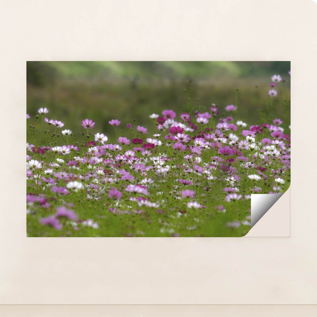 7090289147939 - Product Image