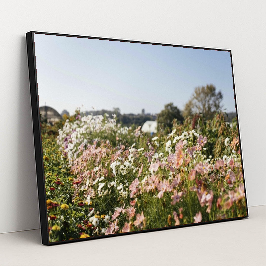 7090358190115 - Product Image