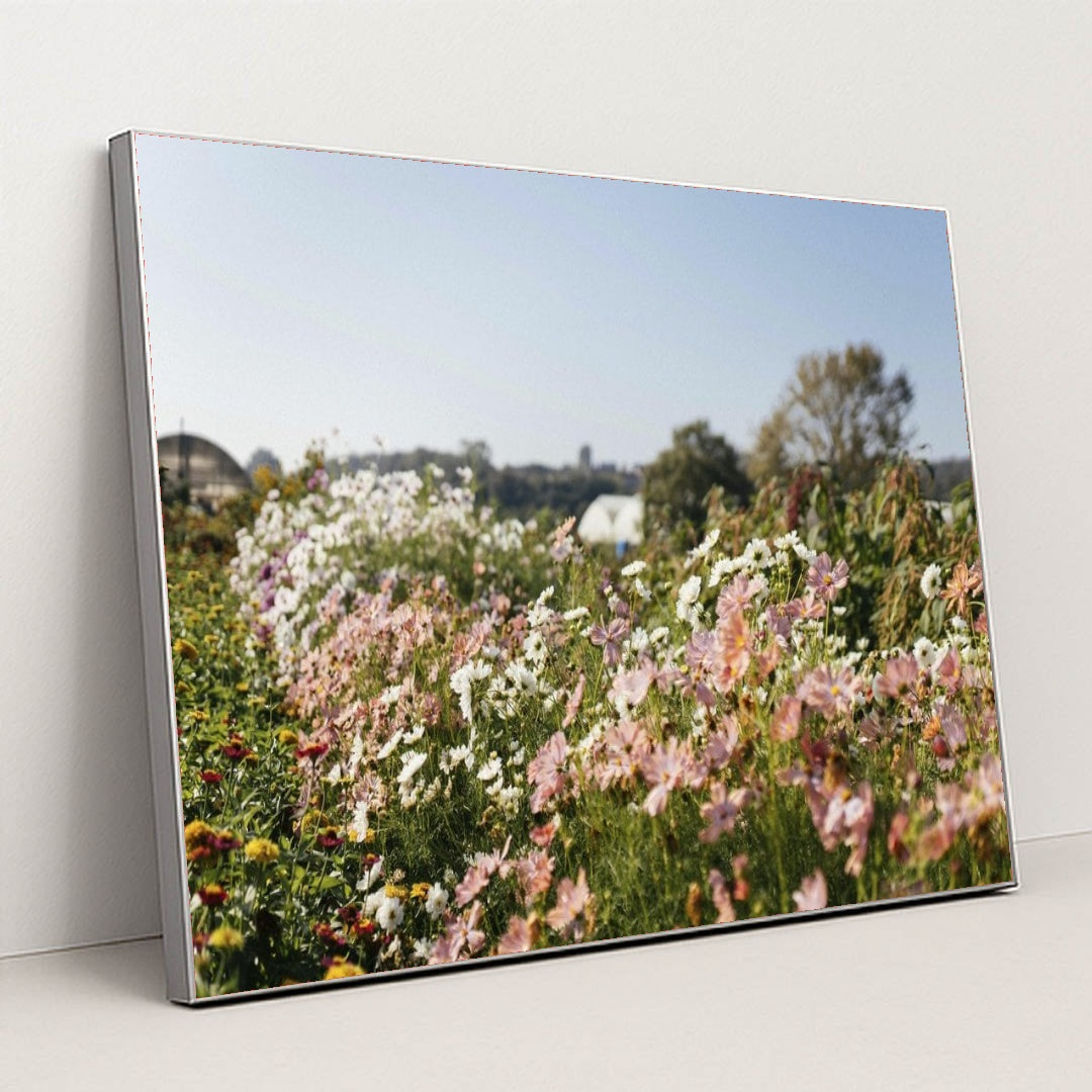 7090358190115 - Product Image