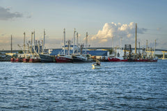Mark Stebnicki - A vibrant harbor scene with fishing boats moored under a clear blue sky during the day.