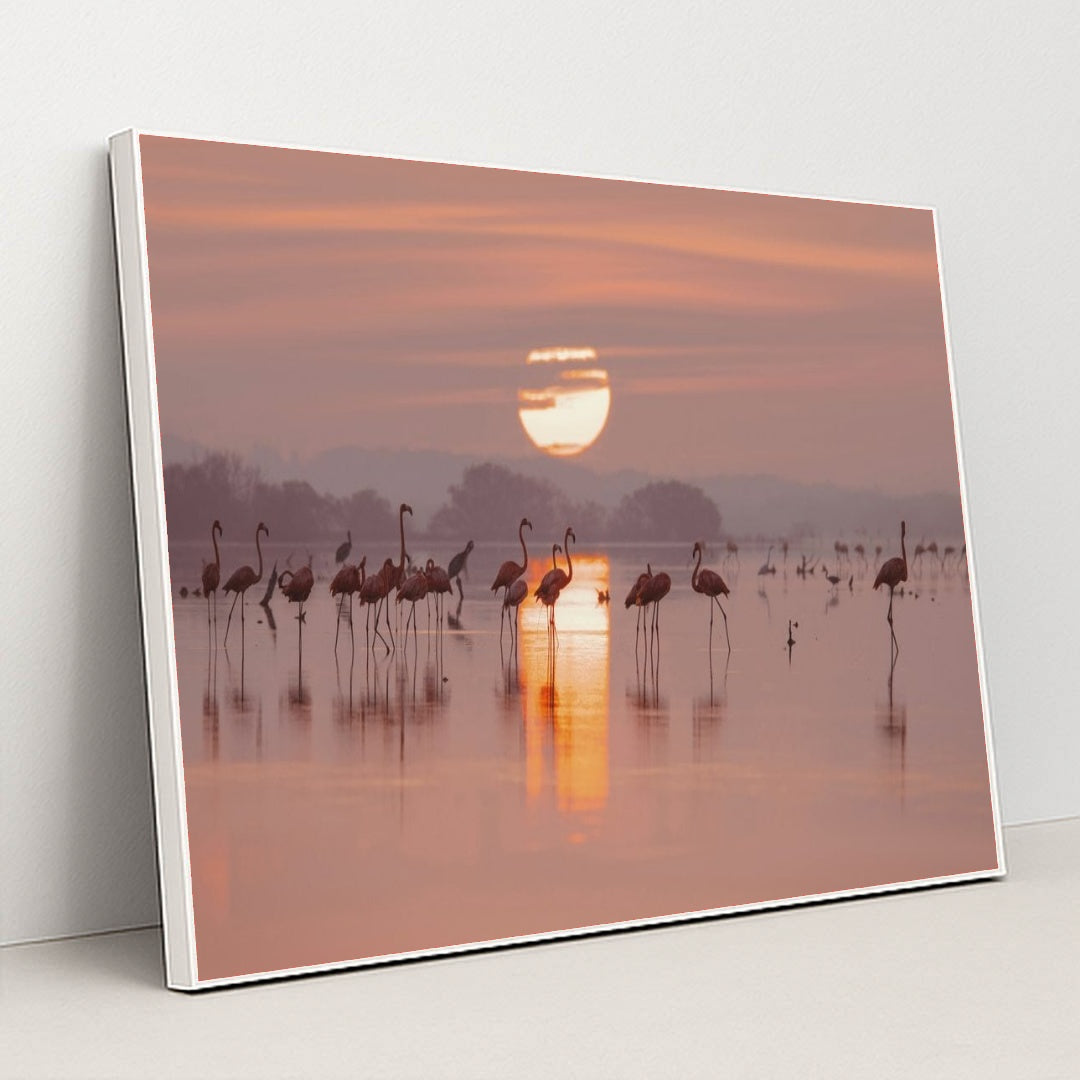 7090228625443 - Product Image