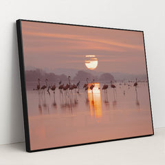 Flamingos Gathering in Shallow Lake at Sunrise by Trip in Mexico - Black Frame Stretchiez