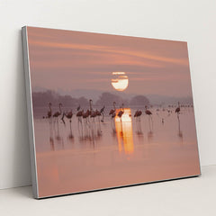 Flamingos Gathering in Shallow Lake at Sunrise by Trip in Mexico - Silver Frame Stretchiez