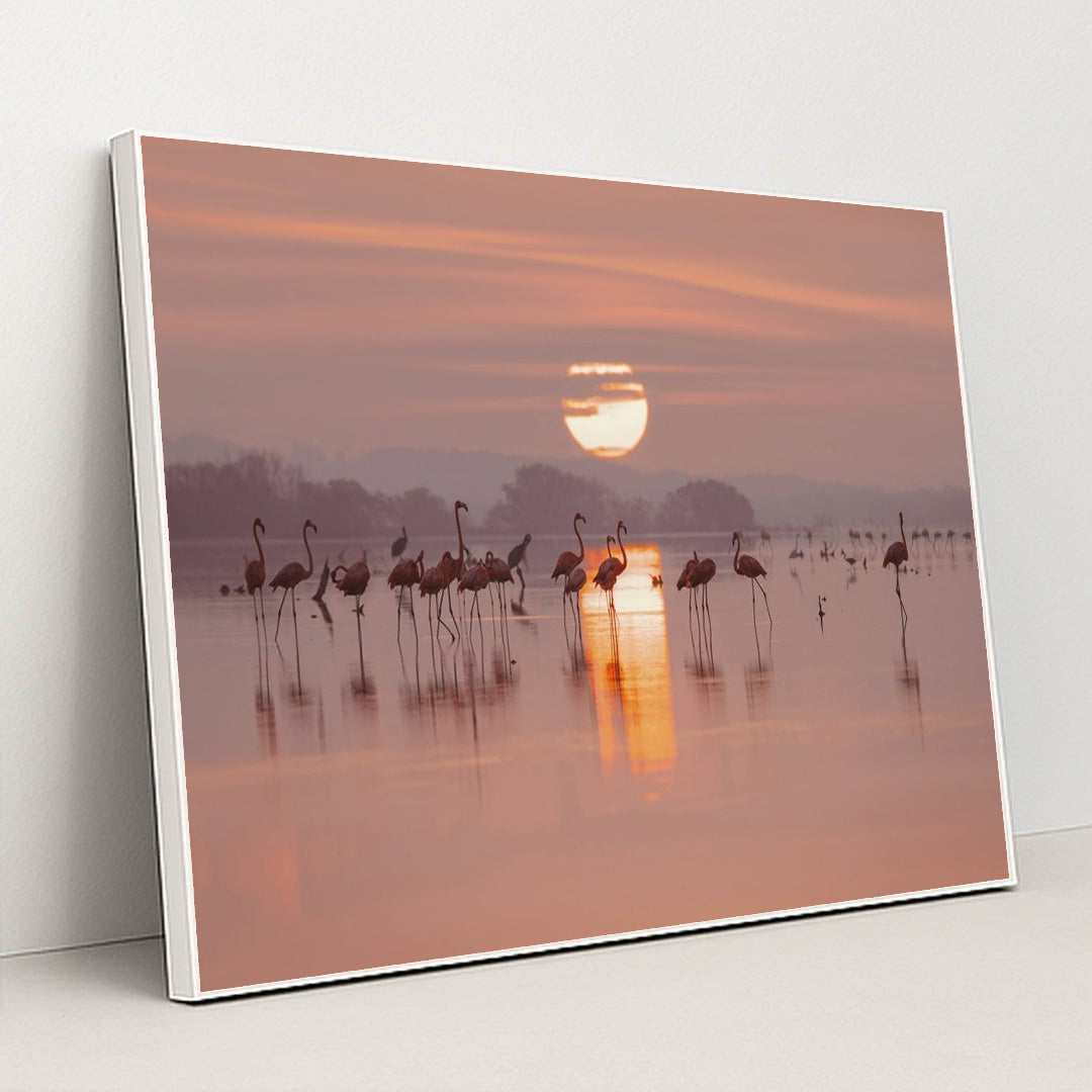 Flamingos Gathering in Shallow Lake at Sunrise by Trip in Mexico - White Frame Stretchiez
