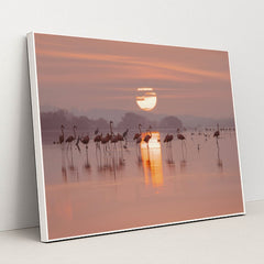 Flamingos Gathering in Shallow Lake at Sunrise by Trip in Mexico - White Frame Stretchiez