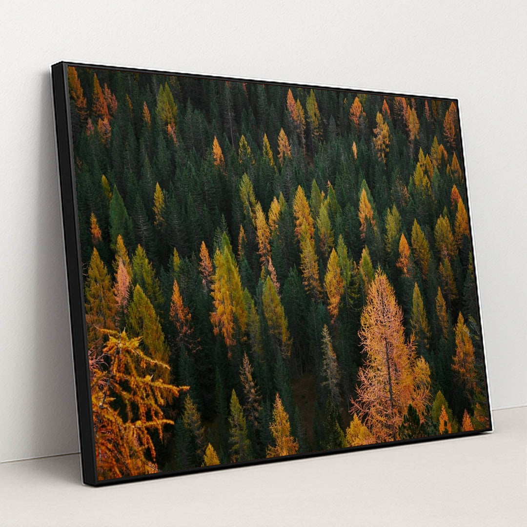 Flecks of Fall by Luca Bravo - Black Frame Stretchiez