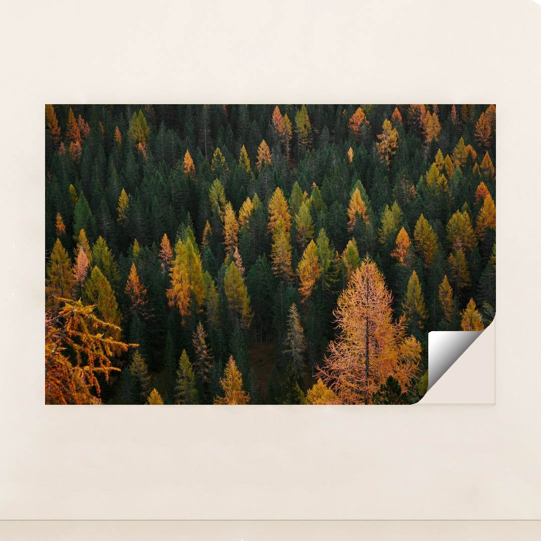 Flecks of Fall by Luca Bravo - Peeliez
