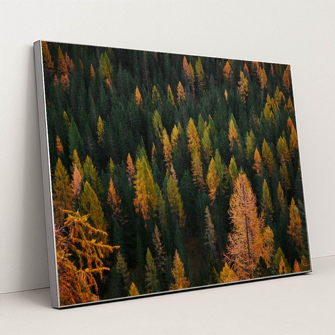 Flecks of Fall by Luca Bravo - Silver Frame Stretchiez