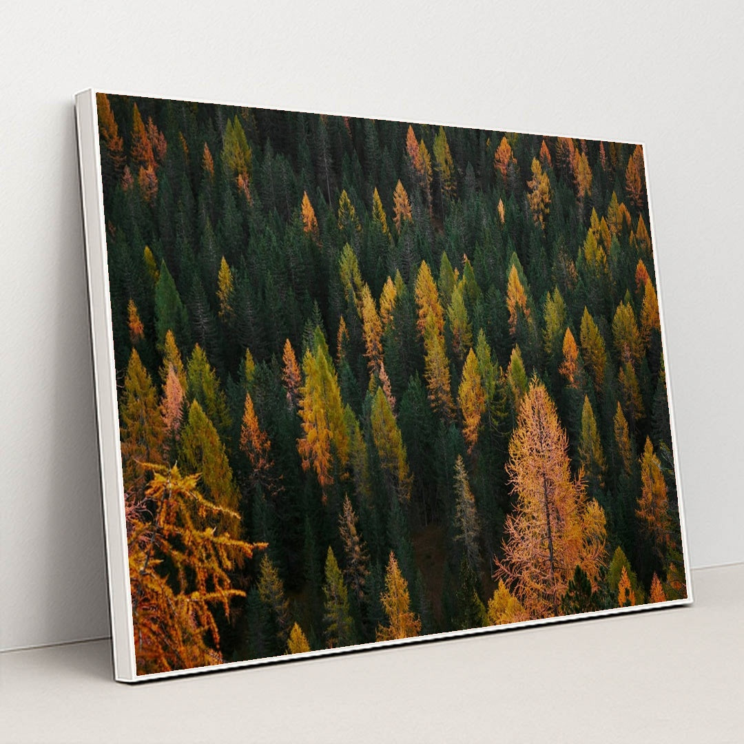 Flecks of Fall by Luca Bravo - White Frame Stretchiez