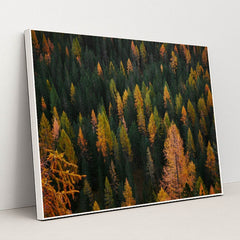 Flecks of Fall by Luca Bravo - White Frame Stretchiez
