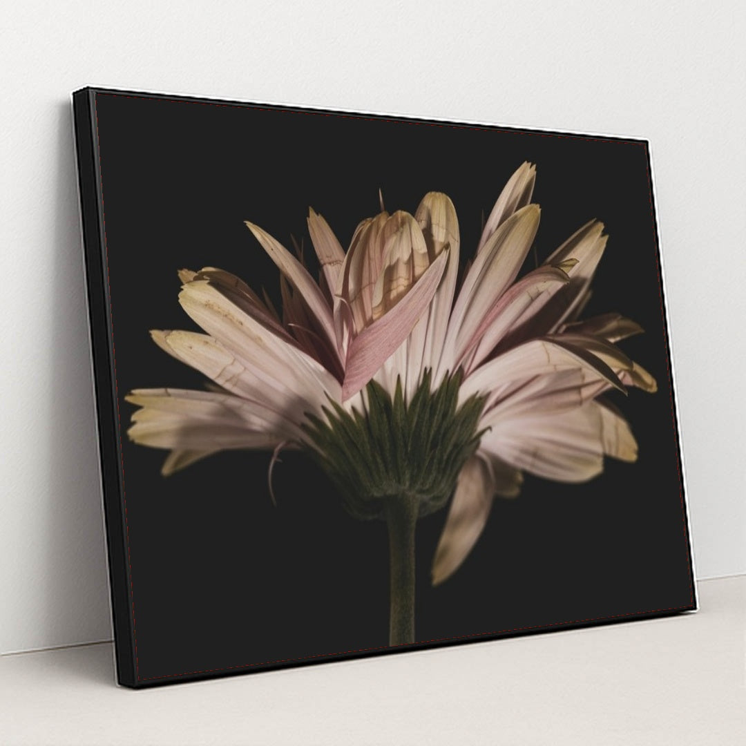 7090288525347 - Product Image