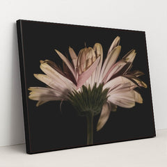 7090288525347 - Product Image