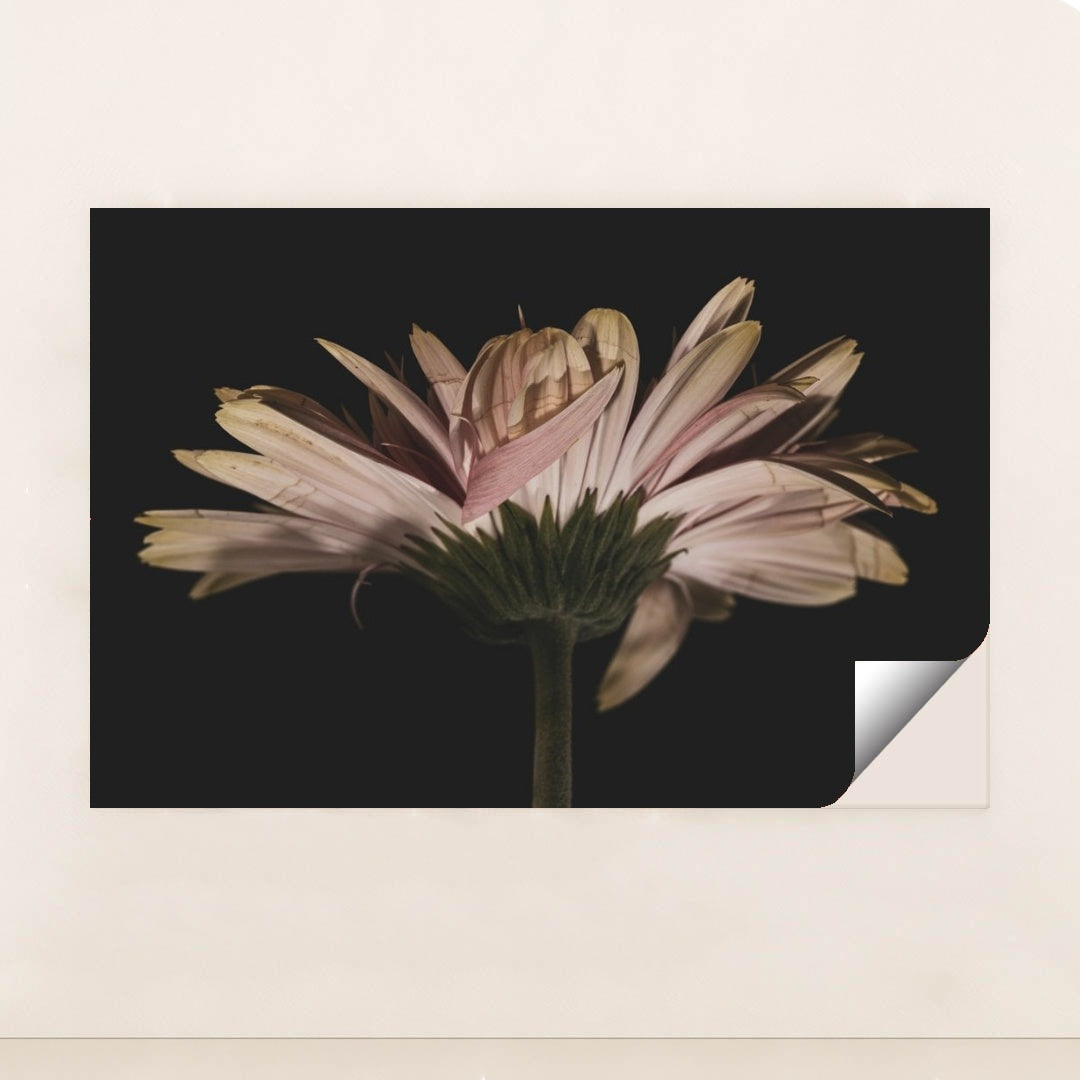 7090288525347 - Product Image