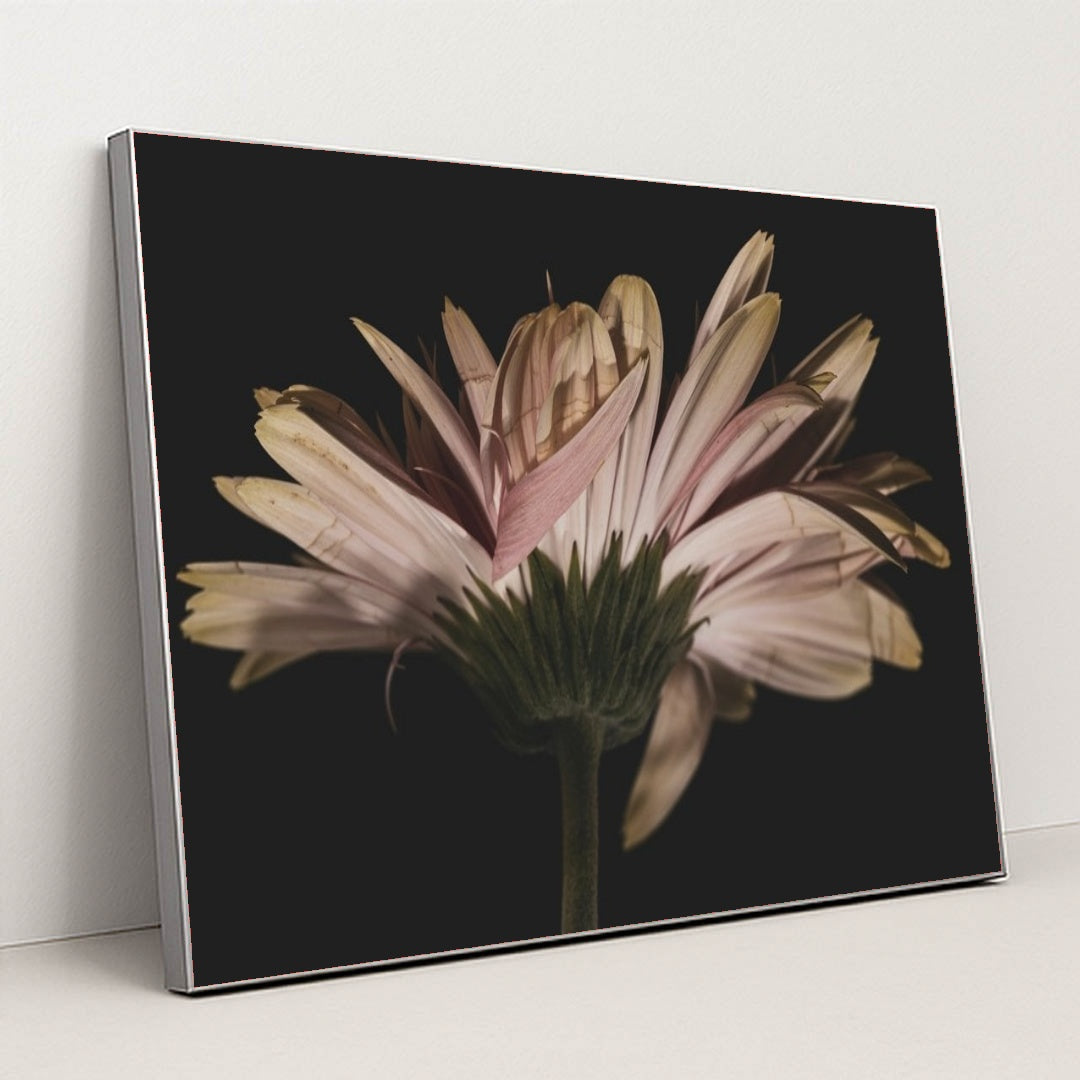 7090288525347 - Product Image