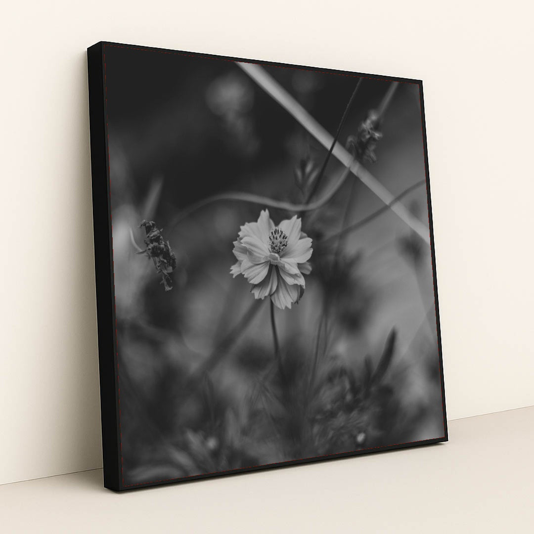 7090217484323 - Product Image