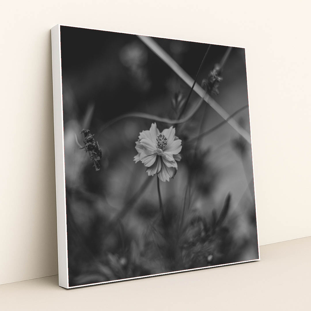 7090217484323 - Product Image