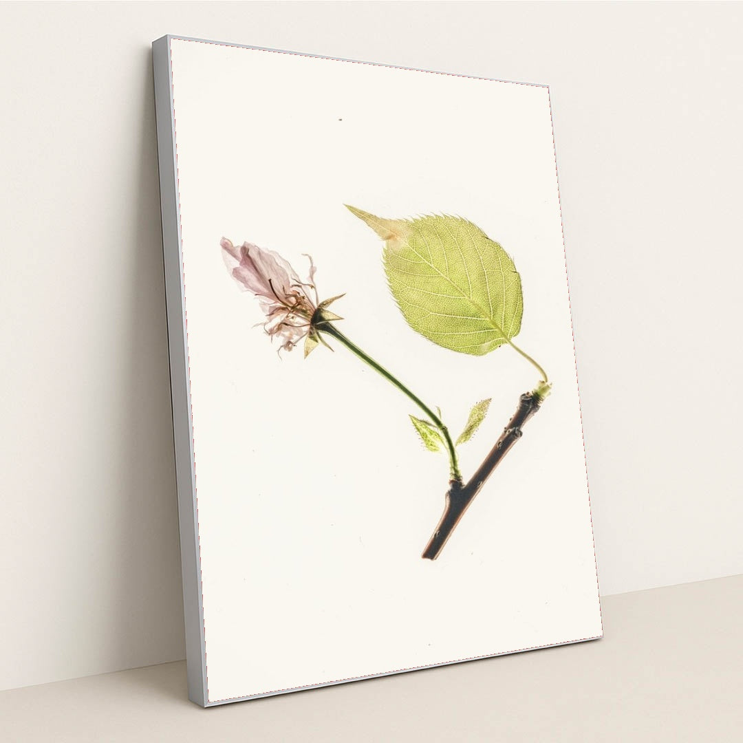 7090246484003 - Product Image