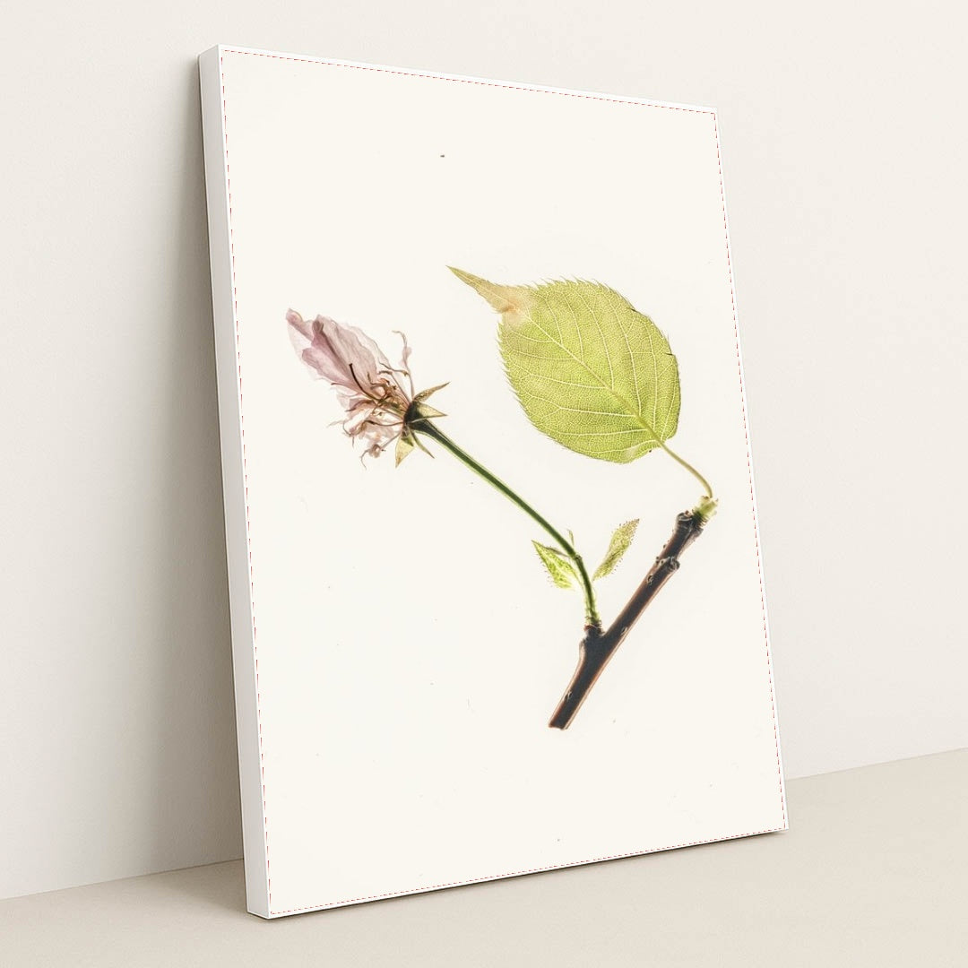 7090246484003 - Product Image